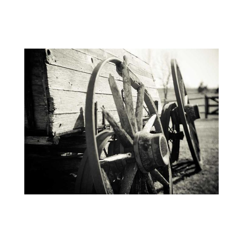 Ergonomic Steel Chair fr-FR